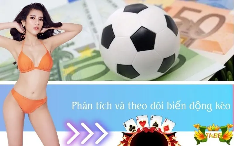 Phân tích và theo dõi biến động kèo